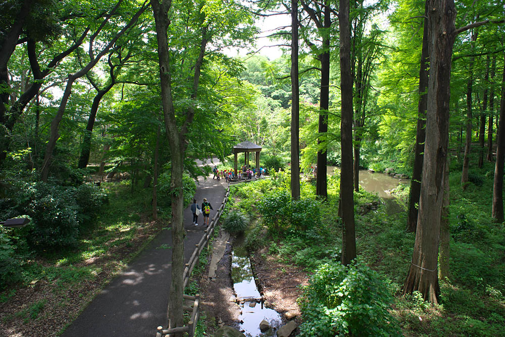 林試の森公園